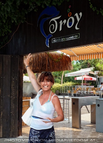 Swim with Dolphins 45