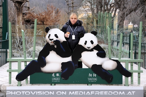 Bei den gro�en Pandas