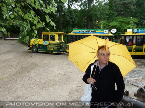 Vor dem Sch�nbrunner Zug