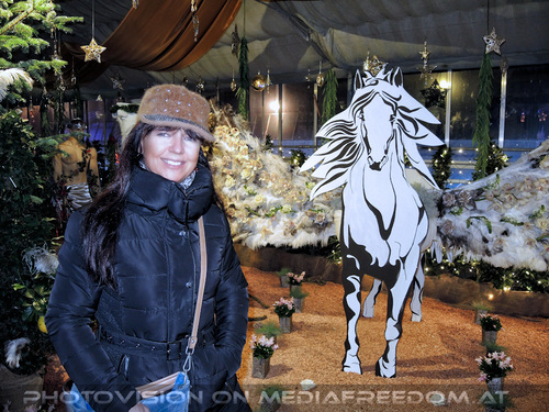 Himmlische Weihnachtszeit 15