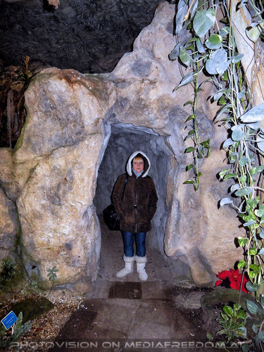 Palmenhaus 06: Gabriele P.