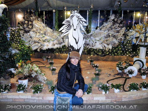 Himmlische Weihnachtszeit 16: Eva D.