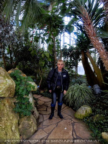 Im Palmenhaus 09