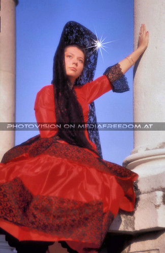 A dream in spanish 14: Michaela E.