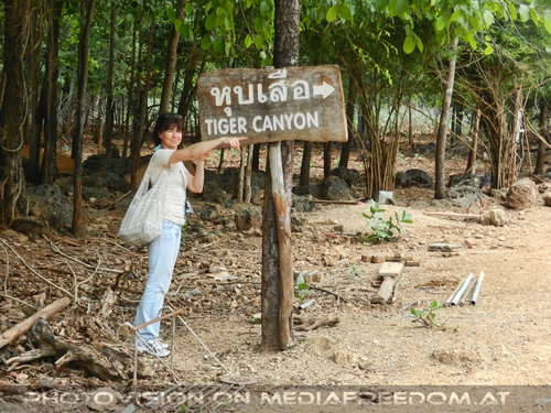 The B-Day of the Tigerman Pix 090