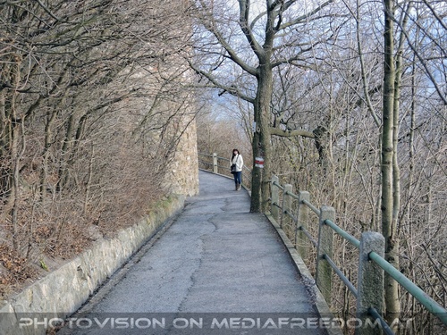 Berg der Wiener 04: Eva D.