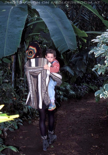 Walk through the jungle