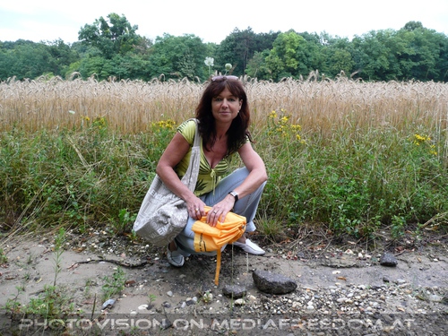 Ein Bett im Kornfeld...