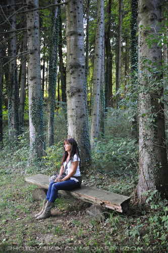 Lipizzaner Heimat 10