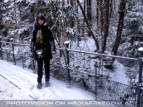 Tierischer Winter 15