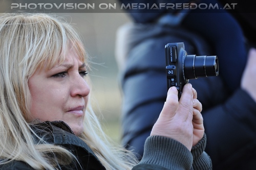 F�tterung roter Pandas 08