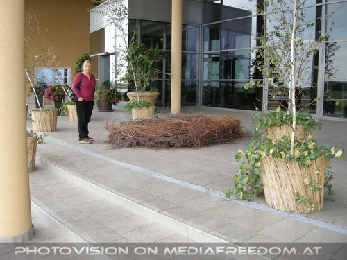 Eingangsdeko: Gabriele P.