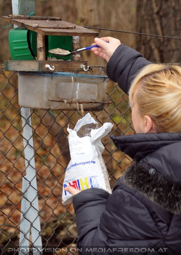 Futterstelle auff�llen: Gabriele P.