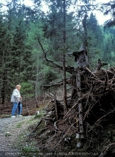 Natur 04: Gertrude Swoboda