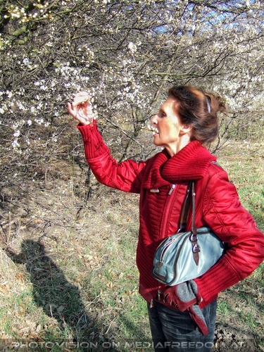 Die B�ume schlagen aus 1