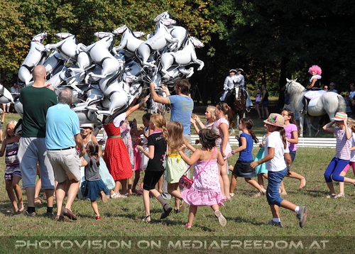 Bild 099
