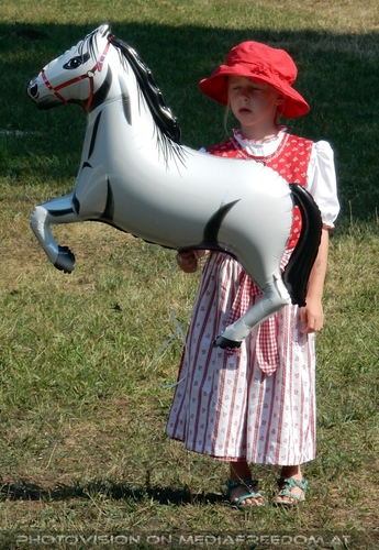 Bild 102