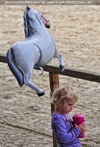 Die Pr�sentationen 50