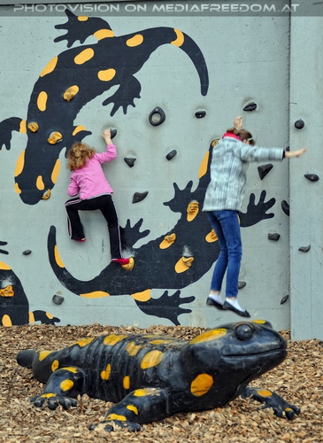 Salamander Kletterei