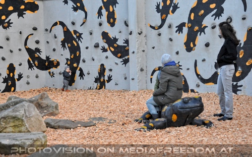 Salamander Speilplatz