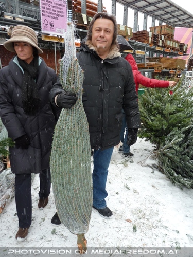 Christbaum Kauf 2