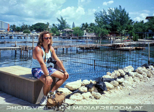 Dolphin Research Center 15