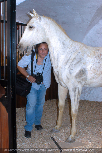 Lipizzaner Heimat 13