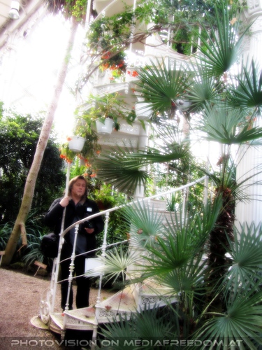 Bei der Traumstiege: Charly Swoboda