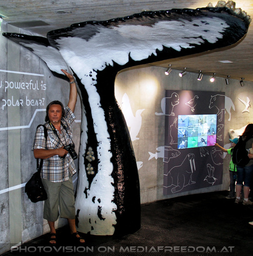 Eisb�renwelt 10: Charly Swoboda