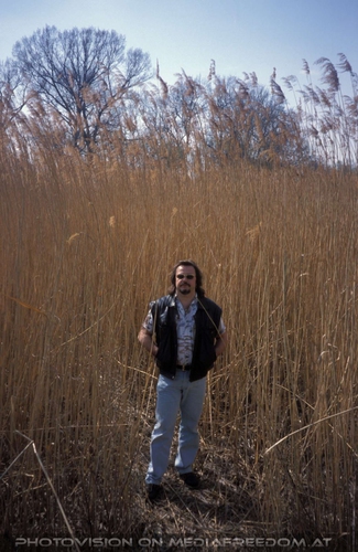 Im Schilf: Charly Swoboda