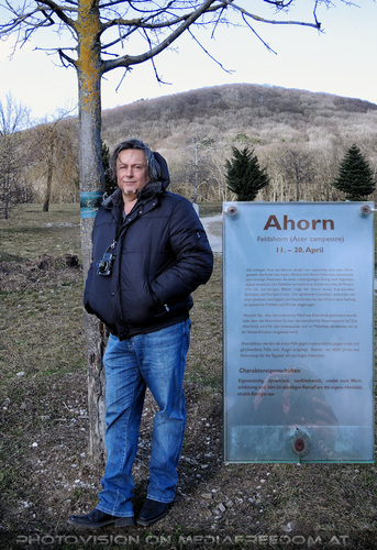 Lebensbaumkreis 05: Charly Swoboda