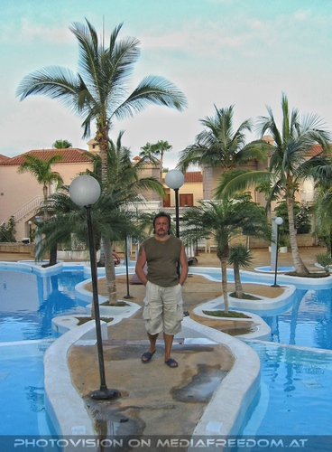 Palmen und Pools