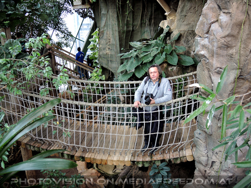 Tropenhaus 17: Charly Swoboda