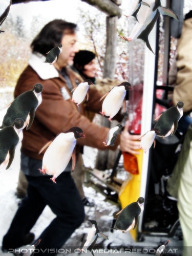 Tierpfleger Wagen Schub