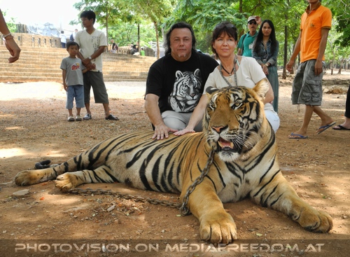 The B-Day of the Tigerman Pix 093