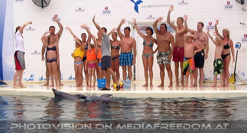 Swim with Dolphins 43