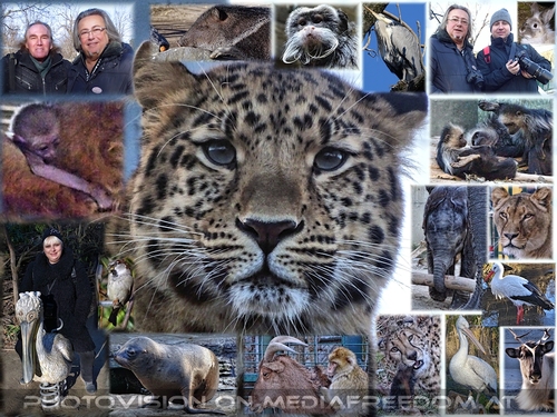 Sch�nheiten der Natur in der Arche Zoo