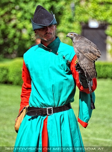 Greifvogel Vorf�hrung 23