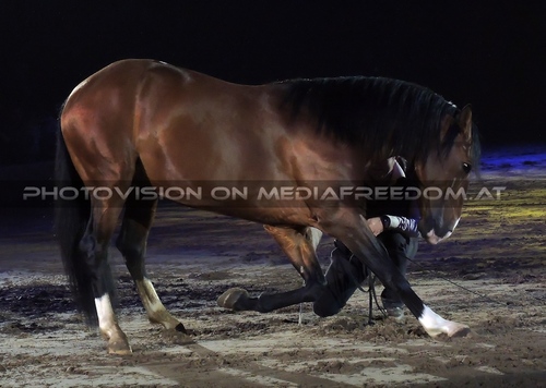 Magische Begegnungen 02