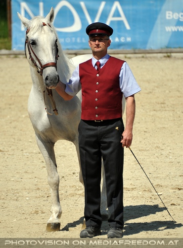 Die Lipizzaner Heimat 014