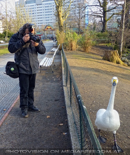 Hey, lauf nicht weg...