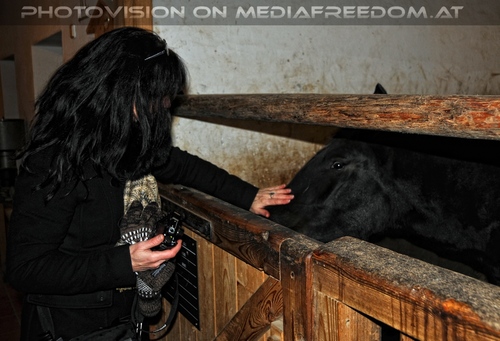 Im Pferdestall 2: Eva D.