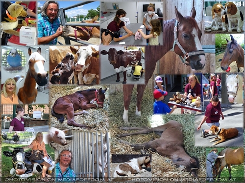 Tierische Informationen f�r alt und jung: Gabriele P., Charly Swoboda