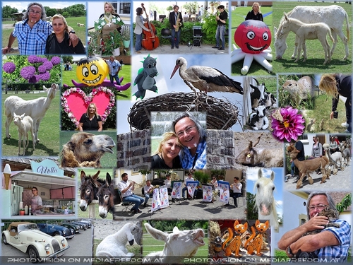 Tierischer Fr�hlingsspa�