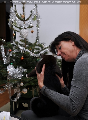 Ebony und der Christbaum 12