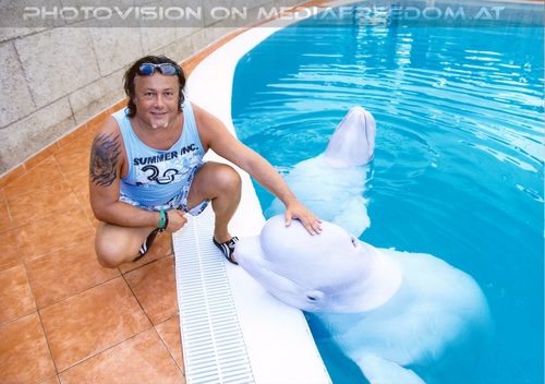 Beluga Whale Show 21