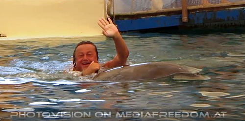 Swim with Dolphins 15