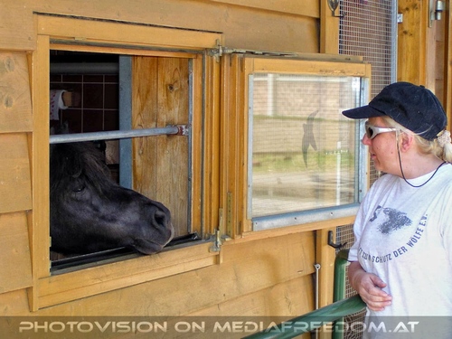Die alten Stallungen 10: Gabriele P.