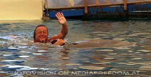 Swim with Dolphins 16