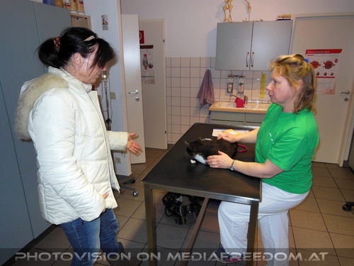 Ebonys healty check 4